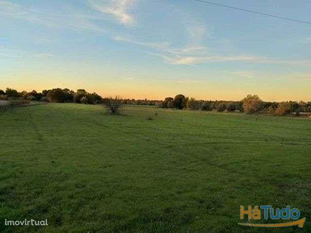 Terreno Rústico 10.000 M2 Alverca | 26053442806