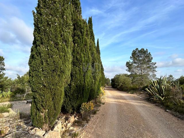 Terreno rustico 14967 m2