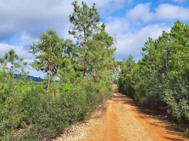 Terreno Rústico 1750m2 Florestal Toulões Idanha a Nova | 26063916816