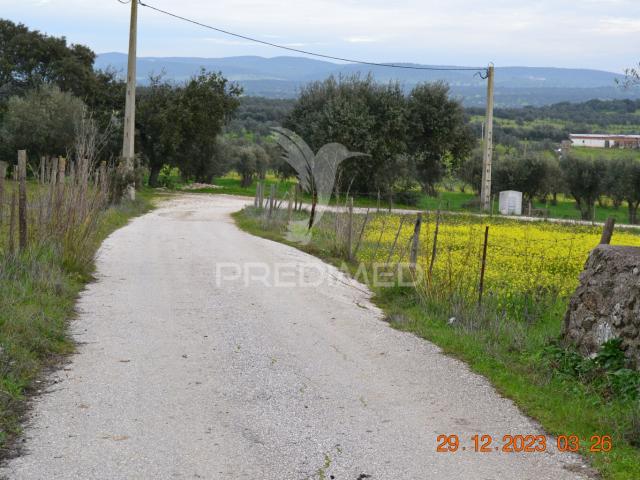 Terreno Rustico