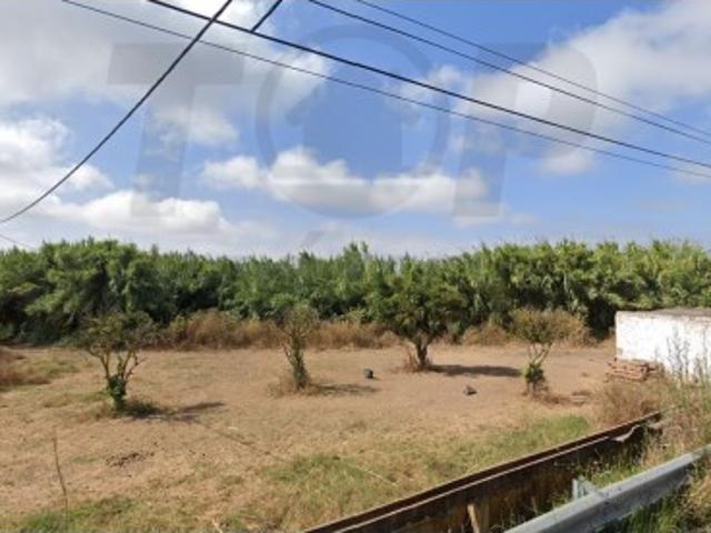 TERRENO RÚSTICO 1800m2 Almancil 88.500€