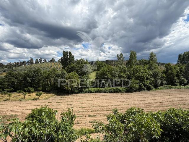 Terreno Rustico