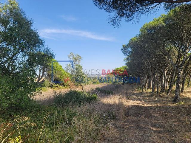 TERRENO RUSTICO 24040 m2 TERRUGEM