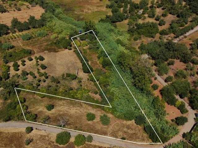 Terreno Rustico 2680m2 | Pontes | Salir | Eletricidade e água a porta