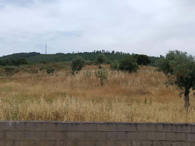 Terreno Rústico, 2800m2, Palvarinho