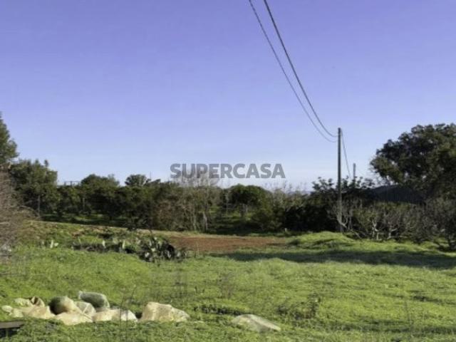 Terreno rustico
