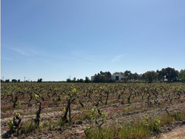 Terreno rustico