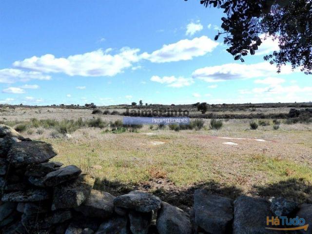Terreno rústico 32,5ha p/ plantações novas. Portugal, Guarda, Figueira de Castelo Rodrigo. | 26084062446