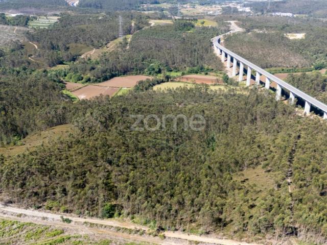 Terreno rústico 35.600m2 Cedões Trofa