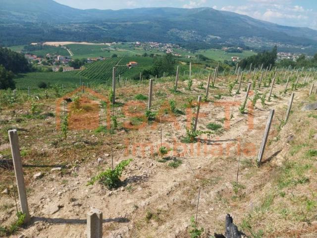 Terreno Rustico