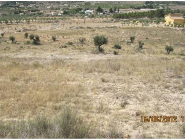 TERRENO RUSTICO