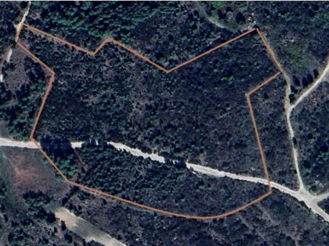 Terreno Rustico