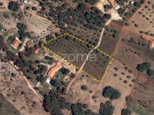 Terreno Rústico 5000m² com Viabilidade | Melides