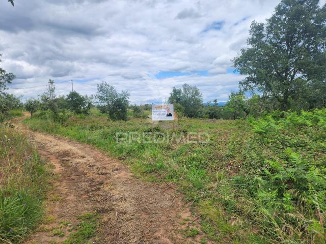 Terreno Rustico