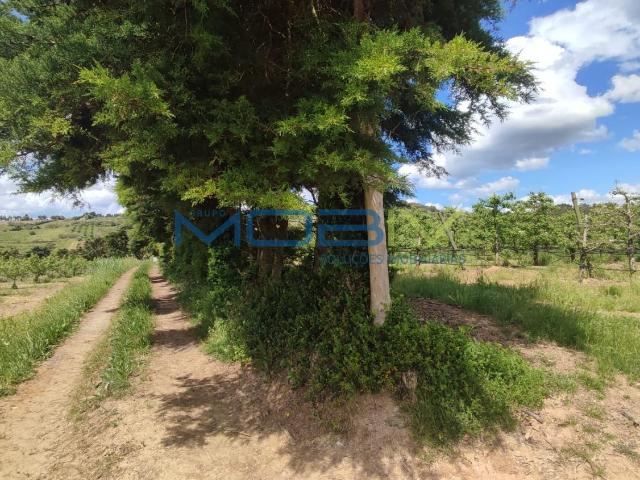 Terreno Rustico
