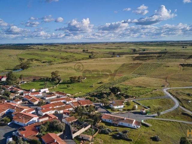 Terreno rústico 5,575 ha, Plantação de Figueira Índia, São Marcos da Ataboeira | 26063949345