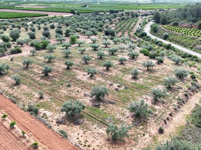 TERRENO RUSTICO
