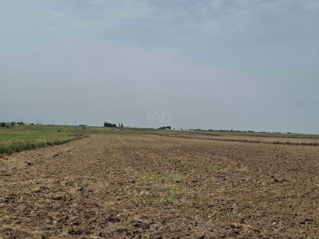 Terreno rustico 7754 m2