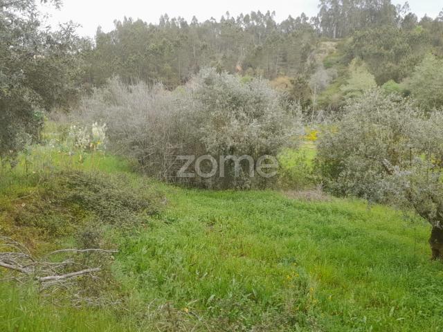 terreno Rustico