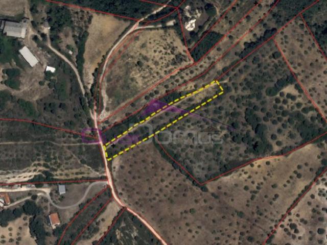 Terreno Rústico