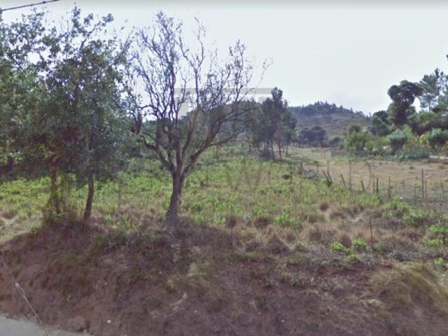 Terreno Rustico, C/ Viabilidade de Construção, Venda do Pinheiro, Mafra, 4.000 m2