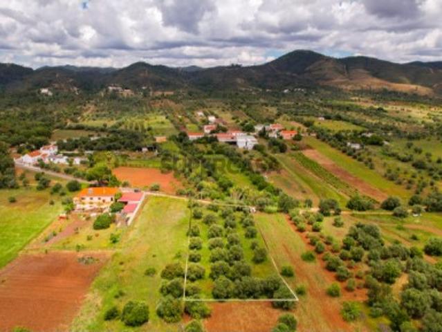 Terreno rústico com oliveiras | Salir, Loulé