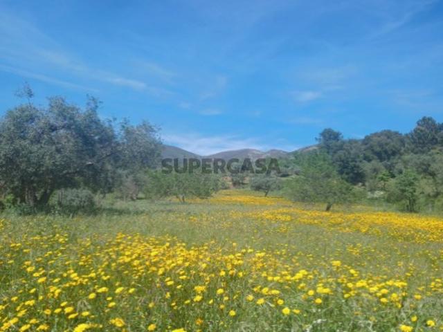 Terreno Rústico com Água Própria em São Vicente da Beira