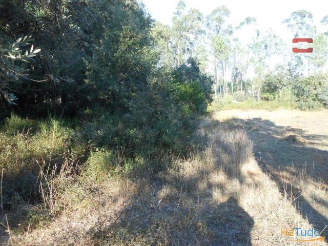 TERRENO RUSTICO COM AREA DE 1950 M2 FRAGOSAS FÁTIMA | 26064063658