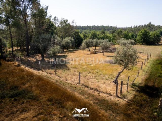 Terreno Rústico com área de 1.850 m2
