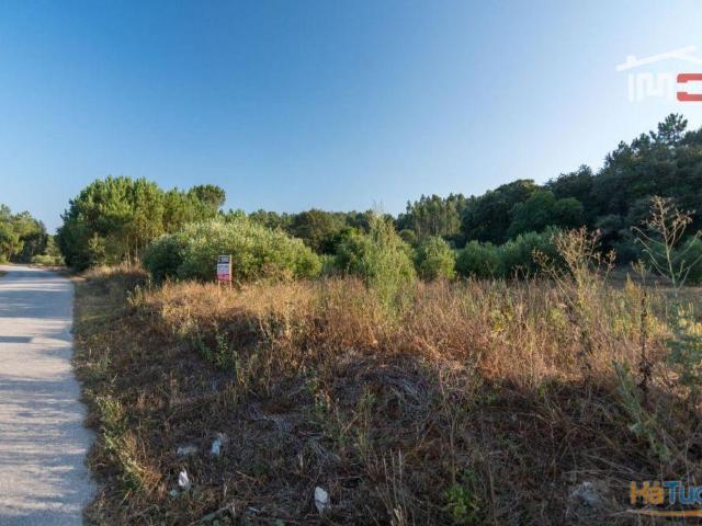 TERRENO RUSTICO COM AREA DE 680 COM OLIVAL EM BOUCEIROS PORTO DE MOS LEIRIA | 26063390158