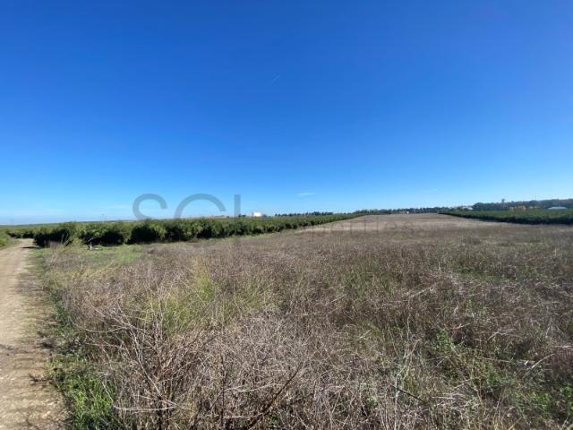 Terreno Rustico com cerca de quatro hectares, nas imediações da cidade de Beja