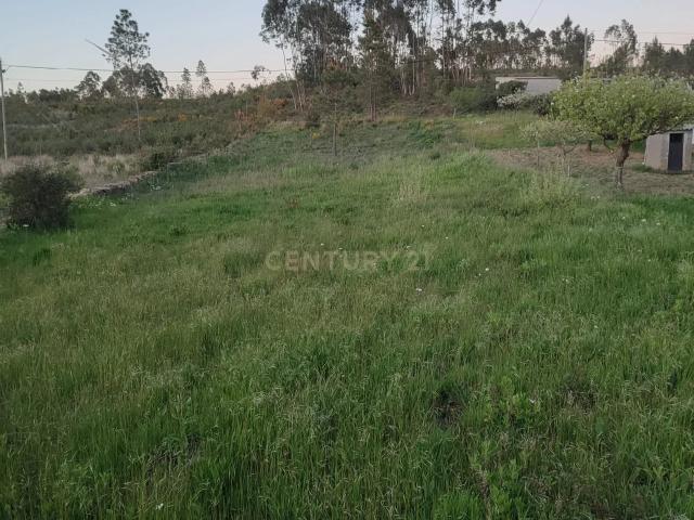 Terreno Rústico com possibilidade de construção em Retaxo