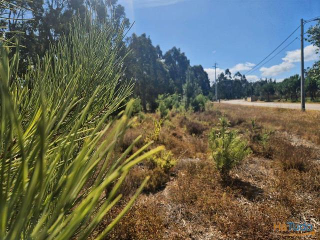 Terreno rústico com possibilidade de construção Ribas, Figueira da Foz | 25114018229