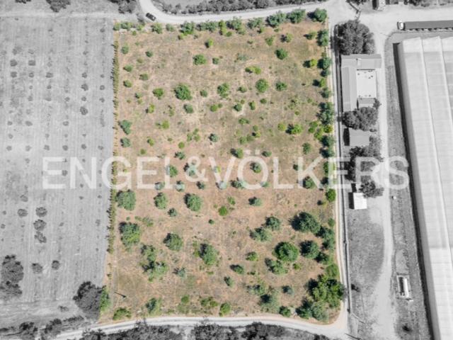 Terreno Rústico com Potencial Agrícola