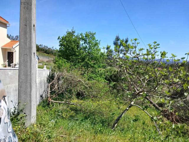 Terreno Rústico com Potencial de Construção | Ribeira de Santo Amaro – Louriçal