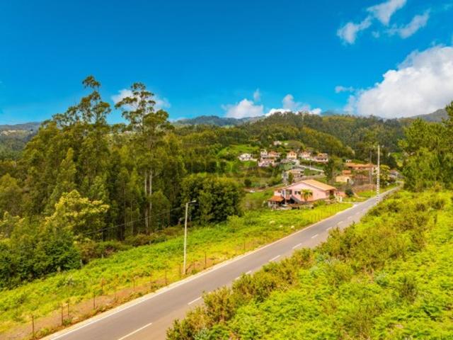 Terreno Rústico com Potencial em Gaula