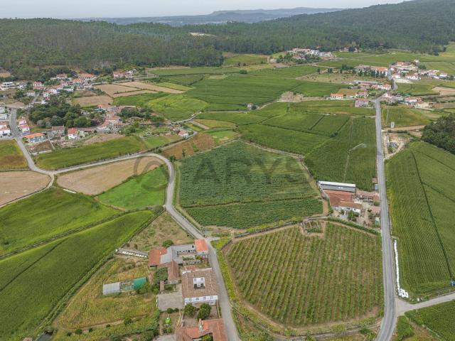 Terreno Rústico com Potencial para Agroturismo