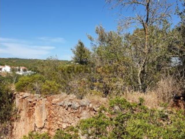 Terreno Rústico com ruína com possibilidade de construção de moradia térrea até 300m2