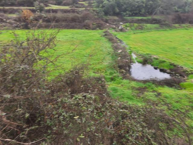 Terreno Rustico com Ruína e Ribeiro – Martianas, Fundão – Proximidade Urbana