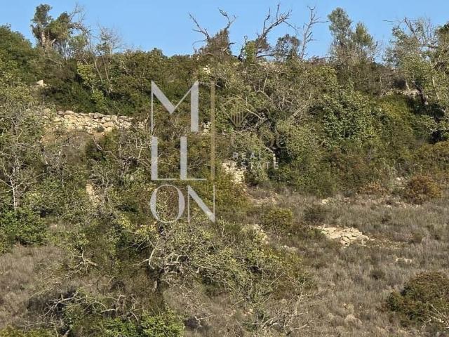Terreno Rústico com Ruína e Vista Mar – 14.513 m² | Excelente Oportunidade