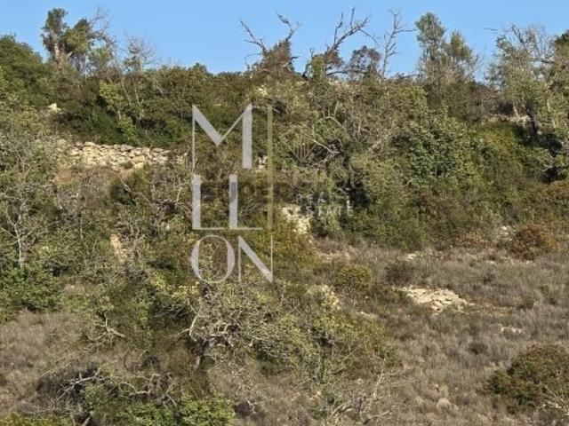 Terreno Rústico com Ruína e Vista Mar 14.513 m² | Excelente Oportunidade