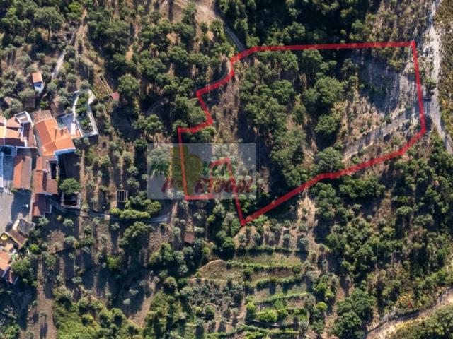 Terreno rústico com água própria e 8.080 m² Excelente oportunidade de investimento em Vila de Rei