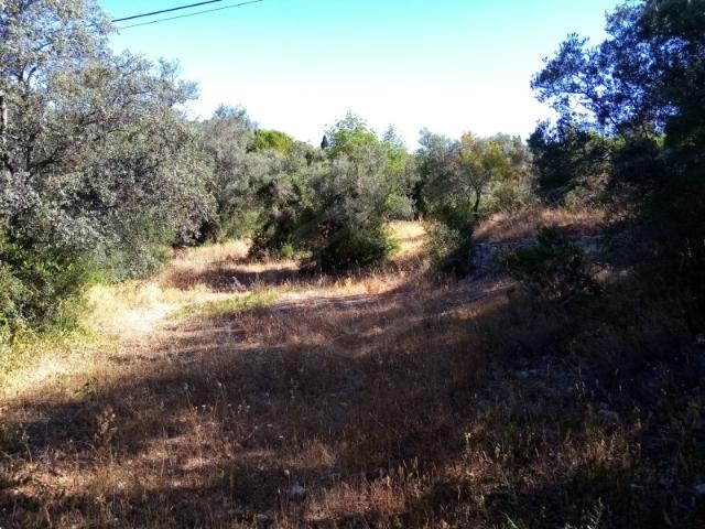 Terreno rústico com uma área de 3207 m2, Loulé, Algarve