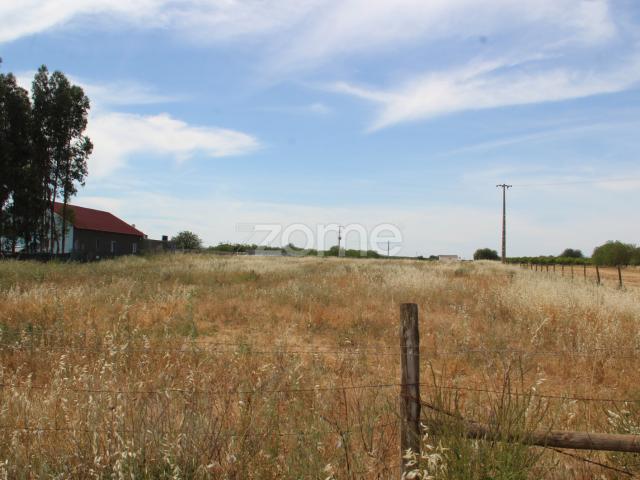 Terreno rústico com uma área generosa de 3 hectares completamente plana
