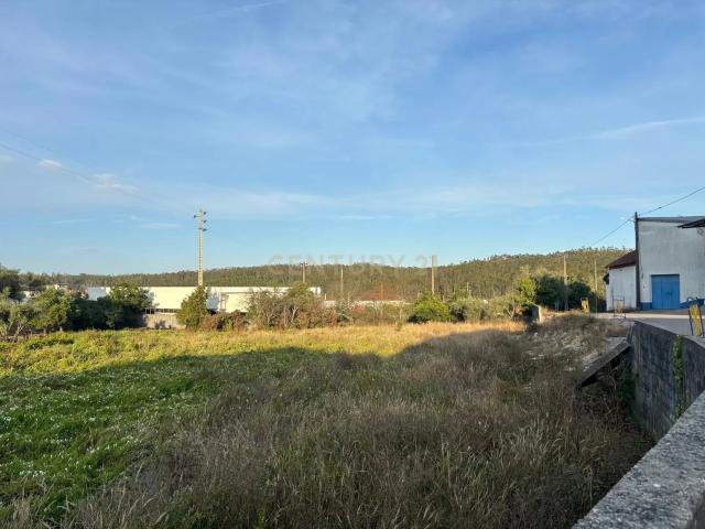 Terreno rústico com viabilidade construtiva em Albergaria dos Doze, Pombal