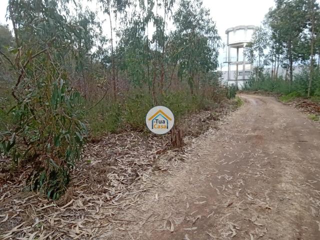 Terreno rústico com viabilidade de construção em Águeda