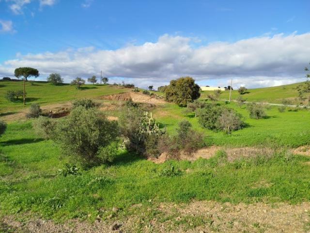 Terreno Rústico com vista mar em Castro Marim, Algarve