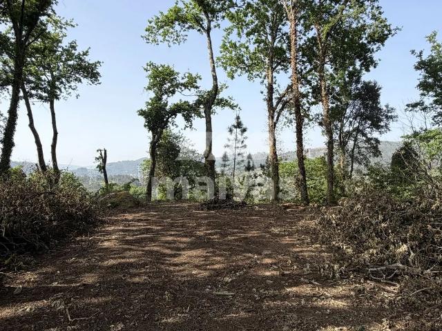 Terreno Rústico com Vista Rio Lima | Próximo do PNPG
