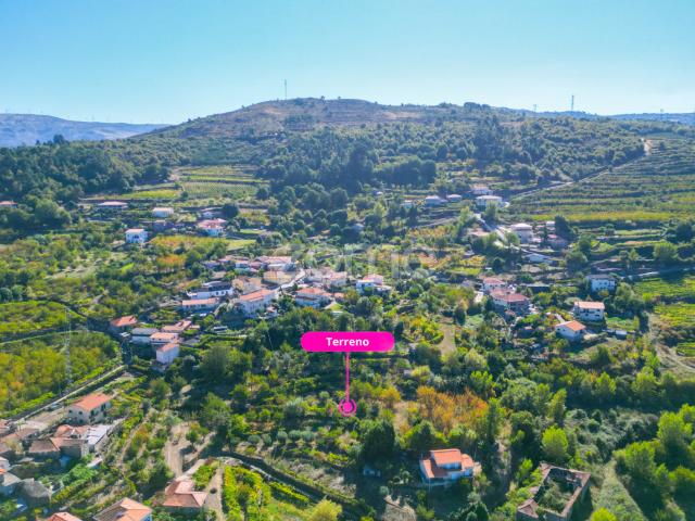 Terreno Rústico com Vistas Deslumbrantes do Rio ✨ Douro