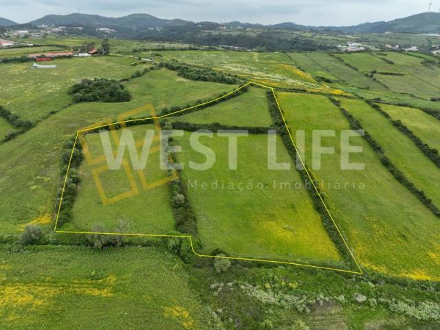 Terreno Rústico com 17000m2 Agroflorestal e agrícola Com curso de água nas proximidades Venda do Pinheiro